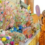 ทอดผ้าป่า 50 ปี มะขามสรรเสริญ